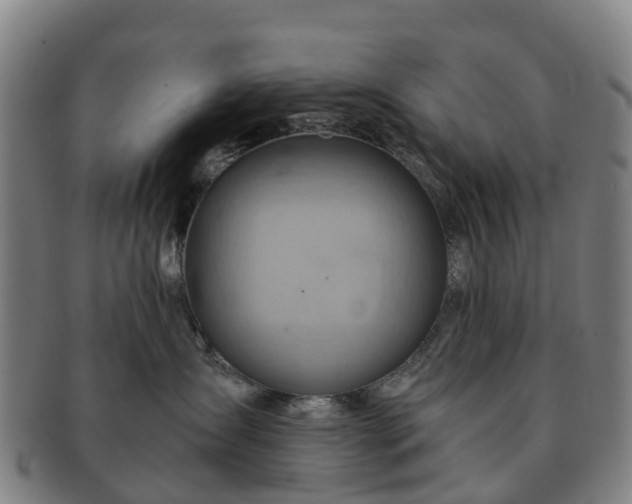 X0000091590431200708271247