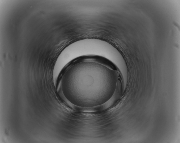 X0000091590432200708271247