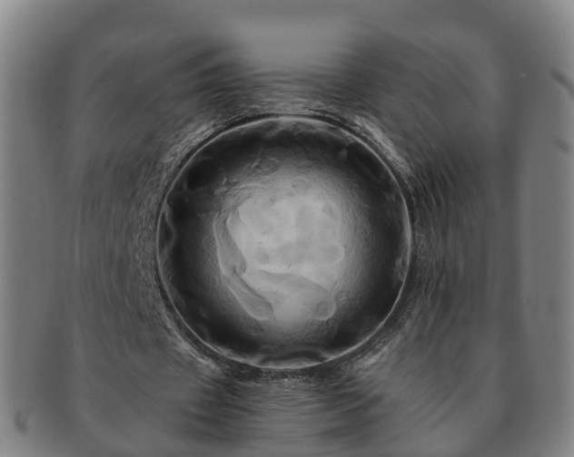 X0000091590433200708271247