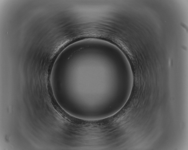 X0000091590434200708271247