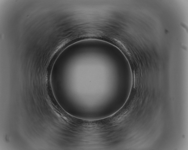 X0000091590435200708271247
