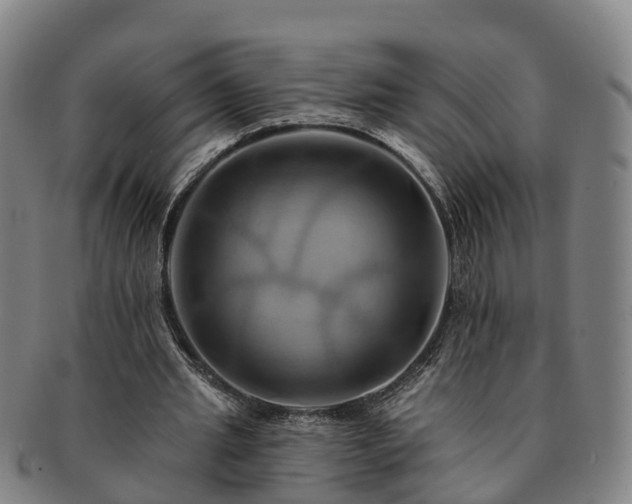 X0000091590437200708271247
