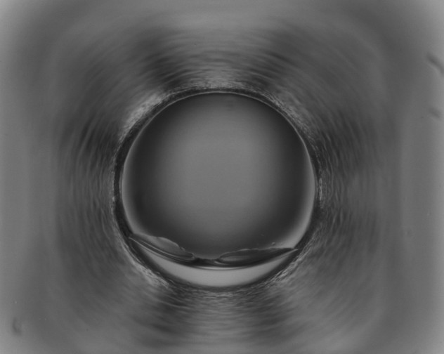 X0000091590438200708271247
