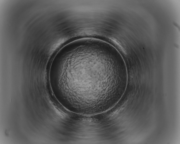 X0000091590439200708271247