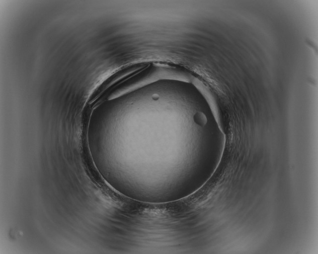 X0000091590440200708271247