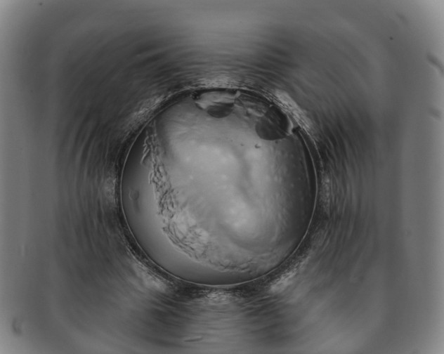 X0000091590441200708271247