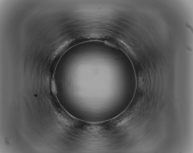 X0000091590444200708271247