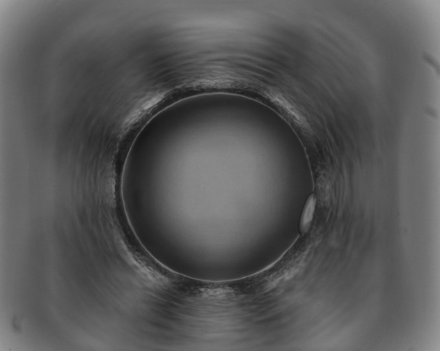 X0000091590446200708271247