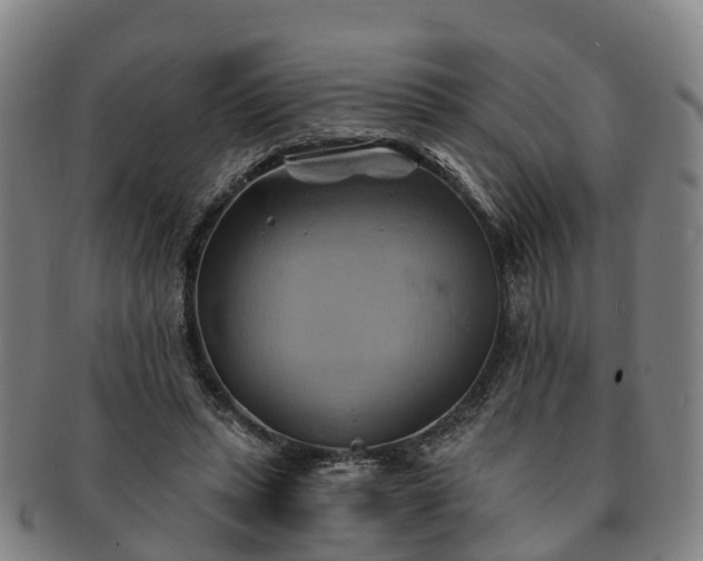 X0000091590447200708271247