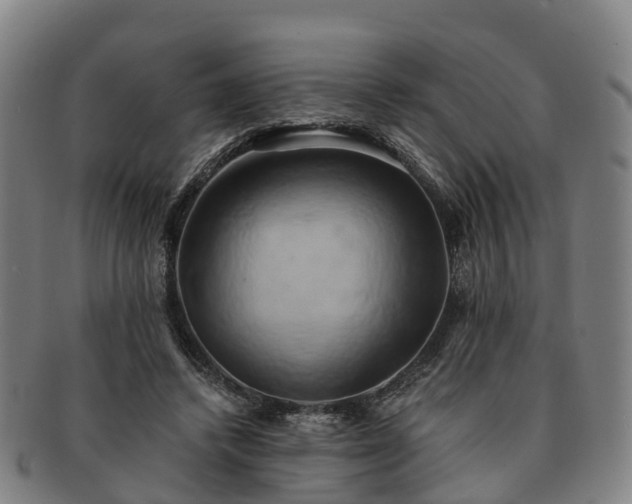 X0000091590448200708271247