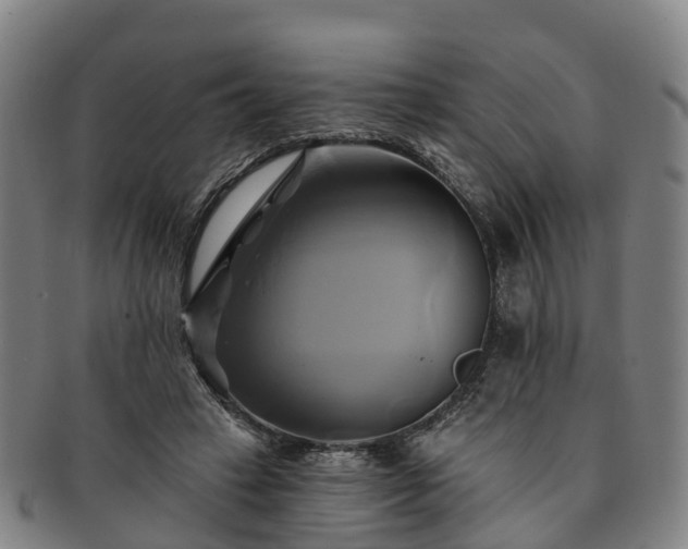 X0000091590449200708271247