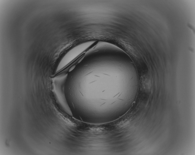 X0000091590450200708271247