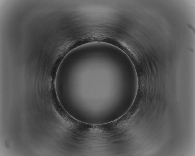 X0000091590451200708271247