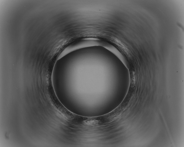 X0000091590452200708271247