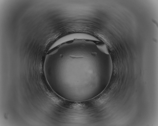 X0000091590453200708271247