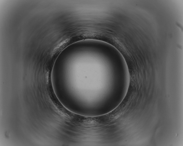 X0000091590454200708271247