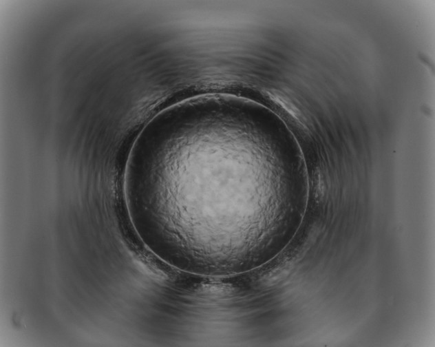 X0000091590455200708271247