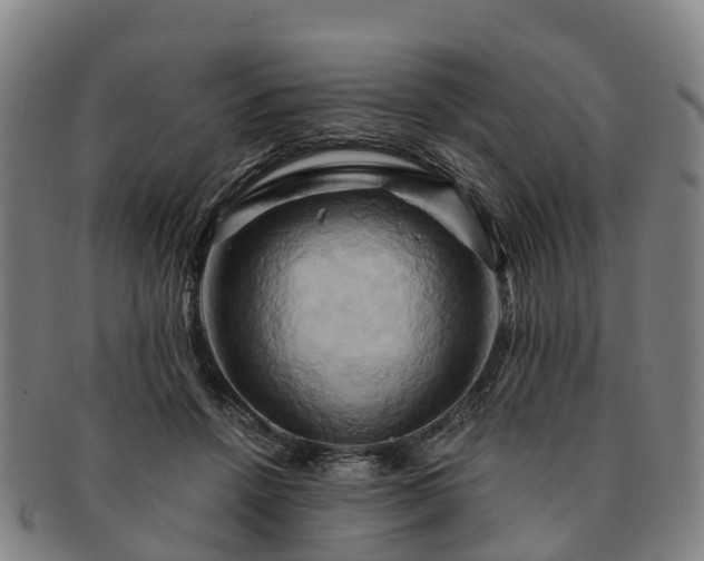 X0000091590456200708271247