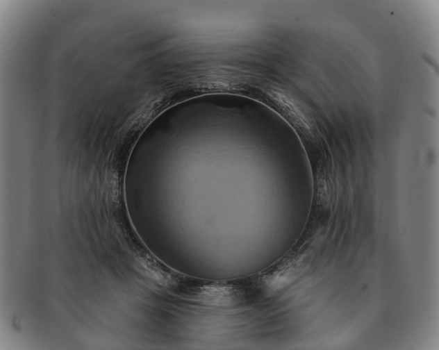 X0000091590457200708271247