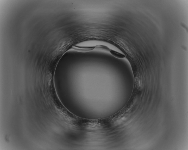X0000091590458200708271247