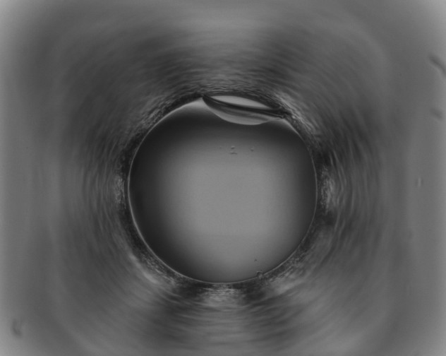 X0000091590459200708271247