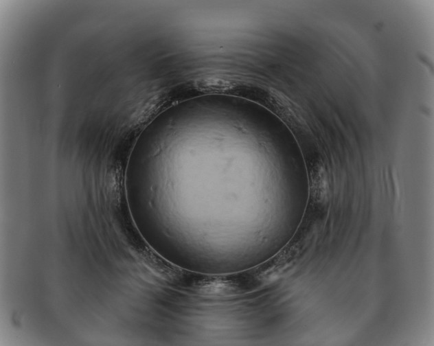 X0000091590460200708271247