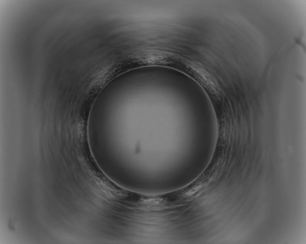 X0000091590461200708271247