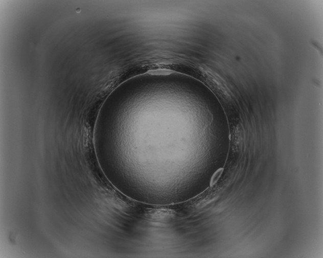 X0000091590463200708271247