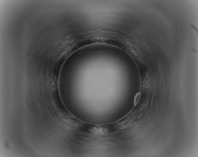 X0000091590464200708271247