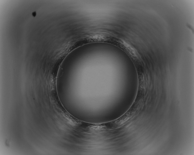 X0000091590465200708271247