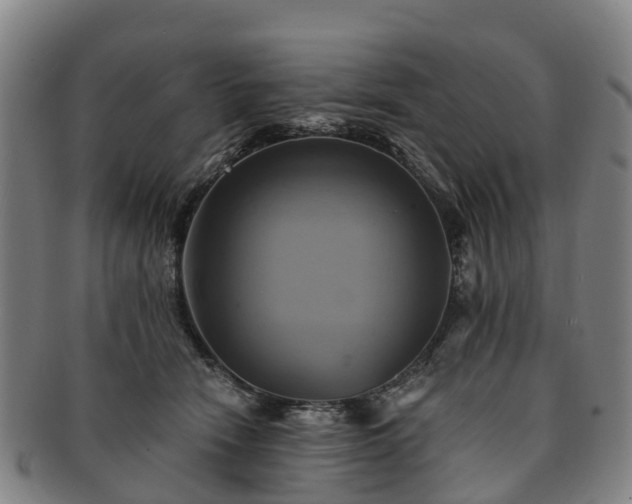 X0000091590466200708271247