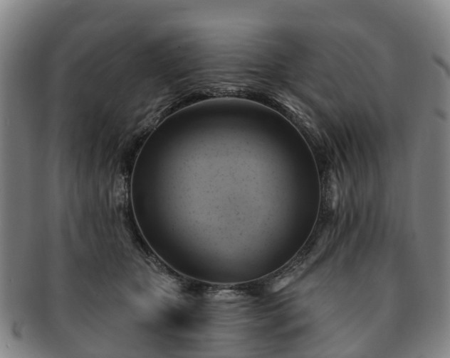 X0000091590467200708271247