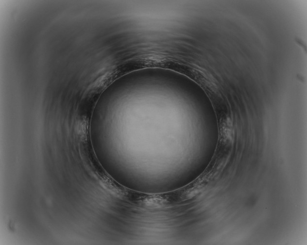 X0000091590468200708271247