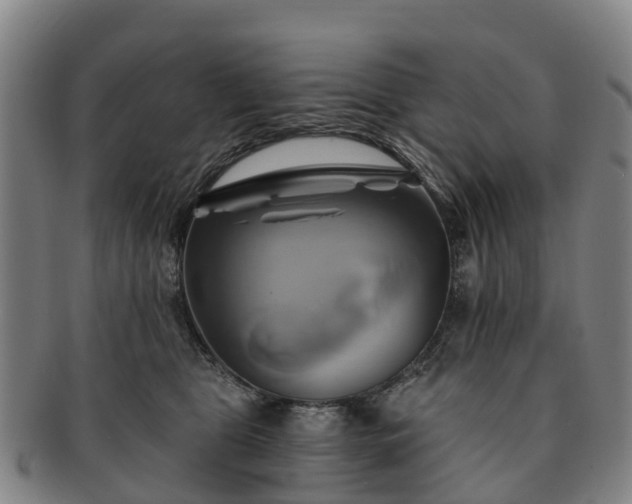 X0000091590469200708271247