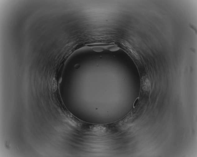 X0000091590471200708271247