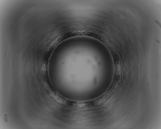 X0000091590472200708271247
