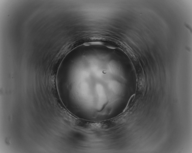 X0000091590473200708271247