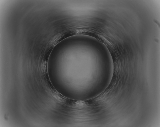 X0000091590475200708271247