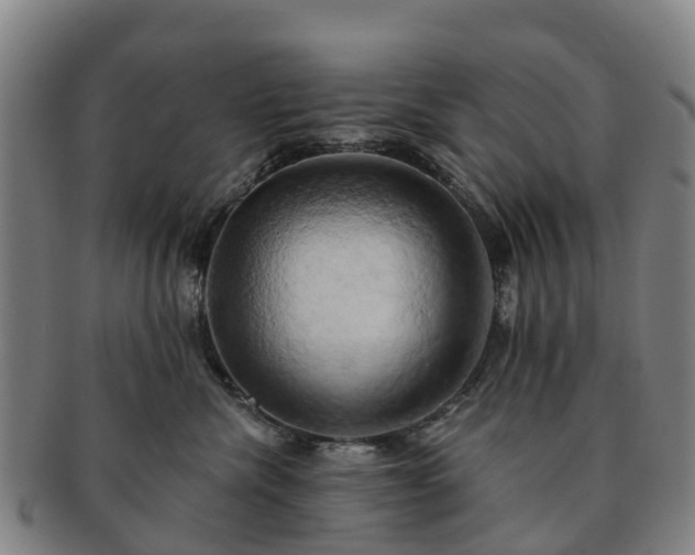 X0000091590476200708271247