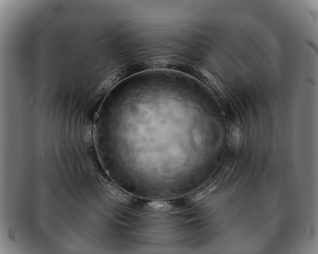 X0000091590477200708271247