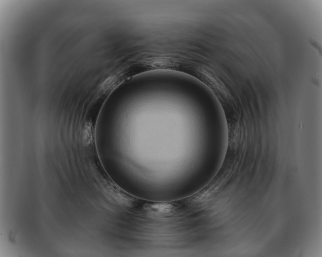 X0000091590478200708271247