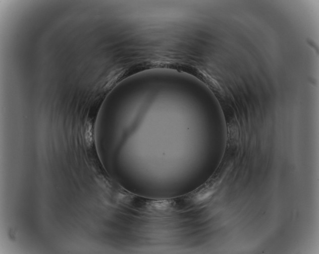 X0000091590479200708271247