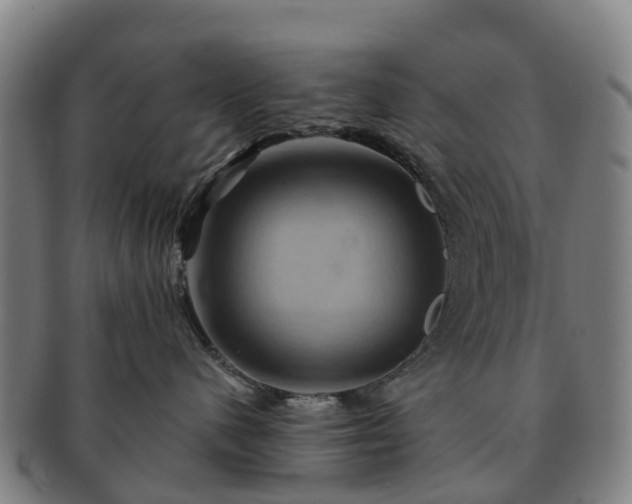 X0000091590480200708271247