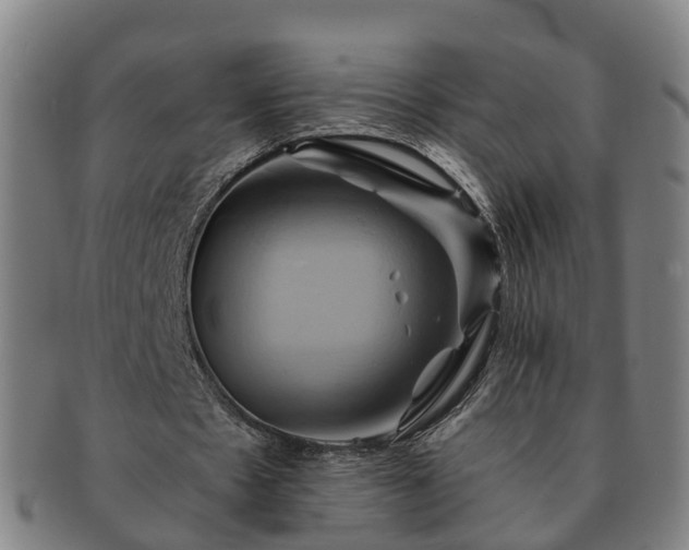 X0000091590481200708271247