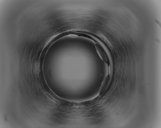 X0000091590484200708271246