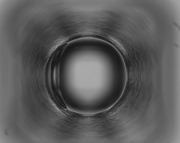 X0000091590485200708271246