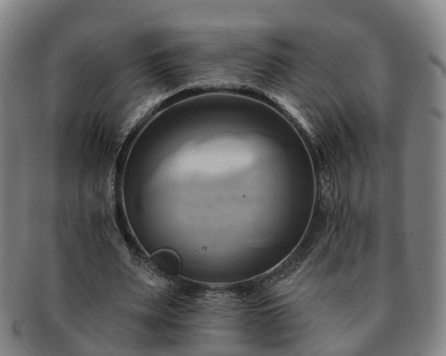 X0000091590487200708271246