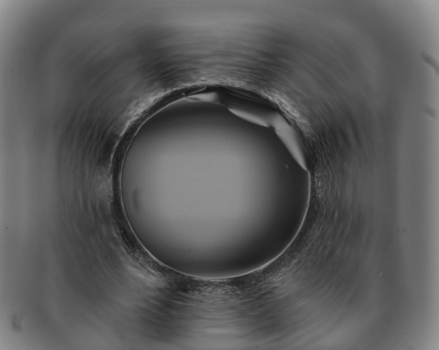 X0000091590488200708271246