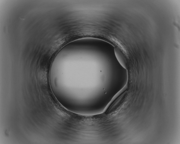 X0000091590489200708271246