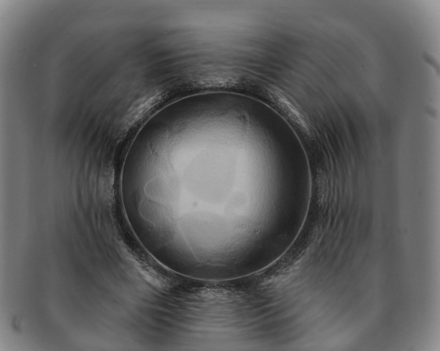 X0000091590490200708271246